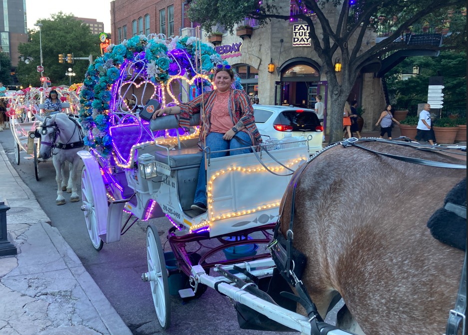 Horse Carriages with lights